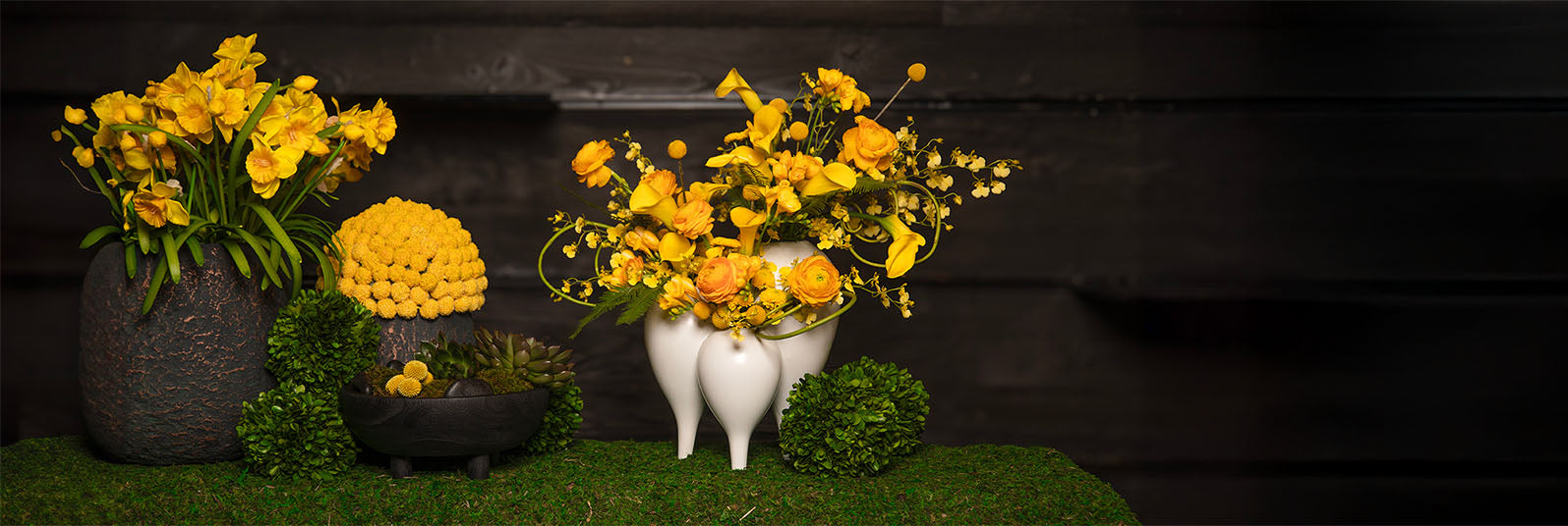 Spring Collection