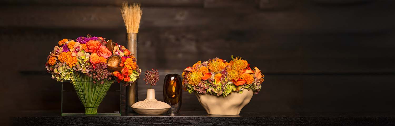 Fall Collection