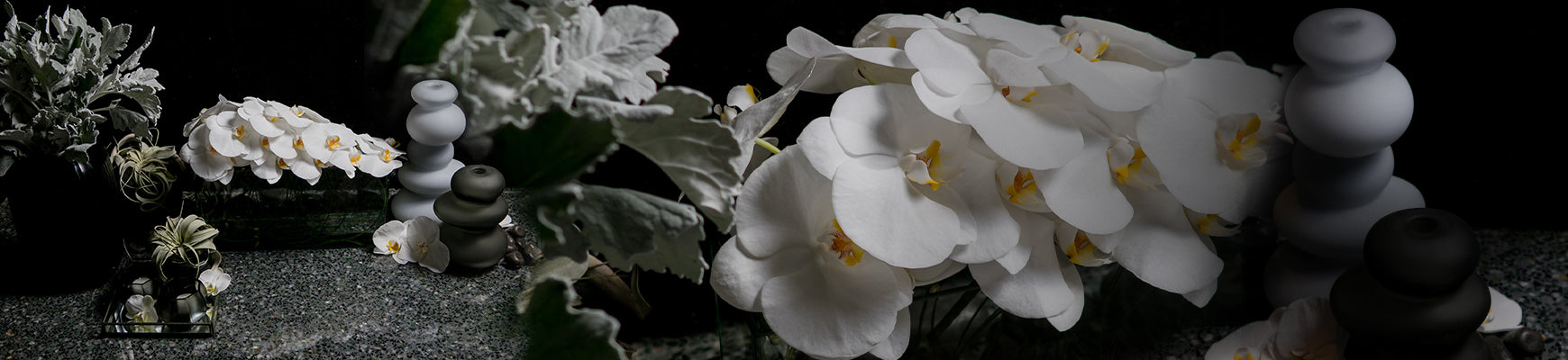 White Collection