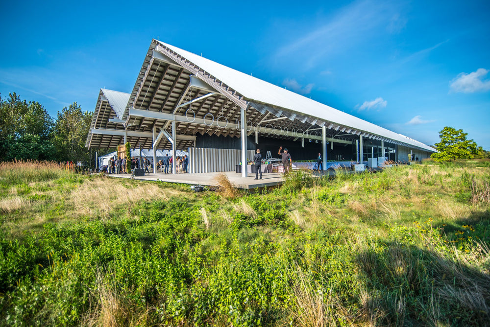 Neon Lights Event Floral Design