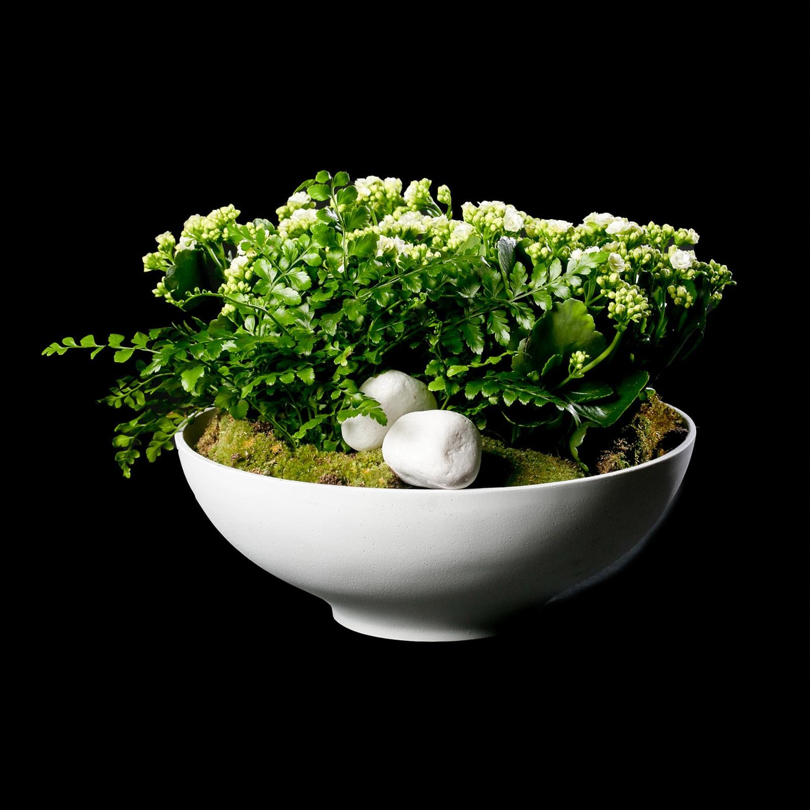 Blooming Dish