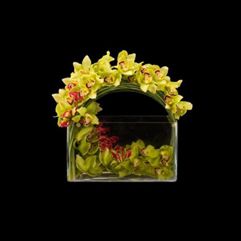 Cymbidium Flare