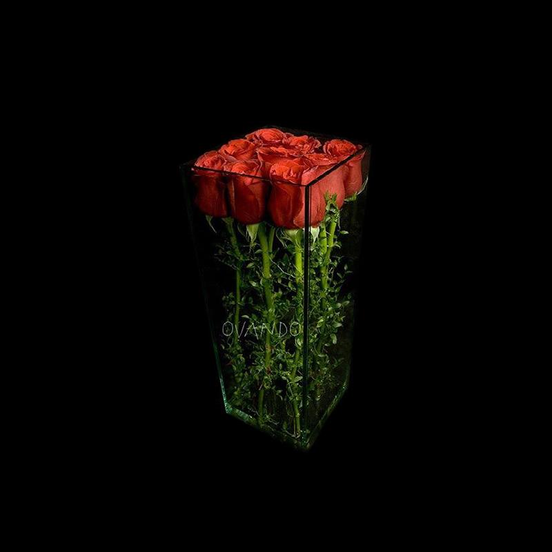 Modern Roses