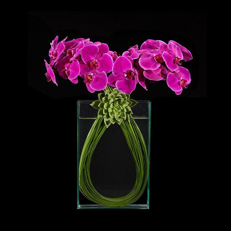 Orchid Embrace