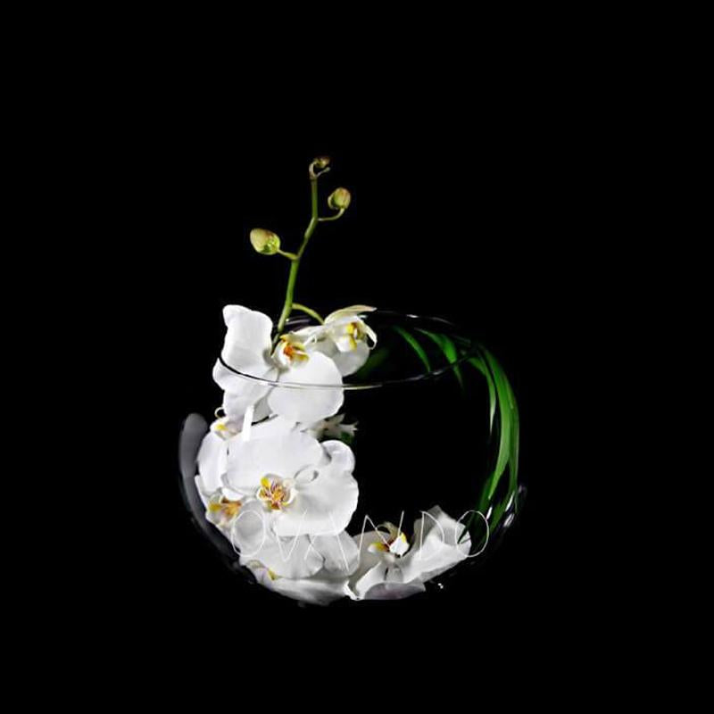 Orchid Moon